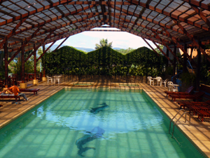 The club has a beautiful large covered swimming pool wiith dressing room, sauna, spa, and children's pool.